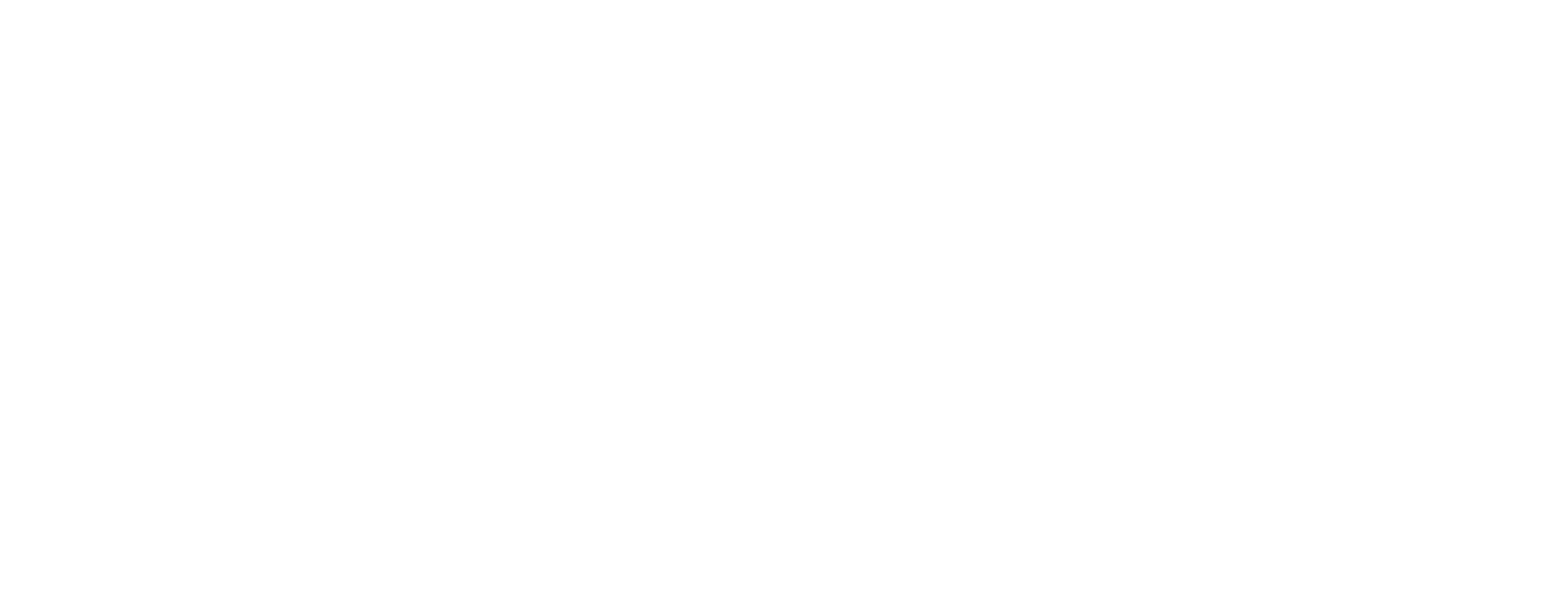 Bizmaxus